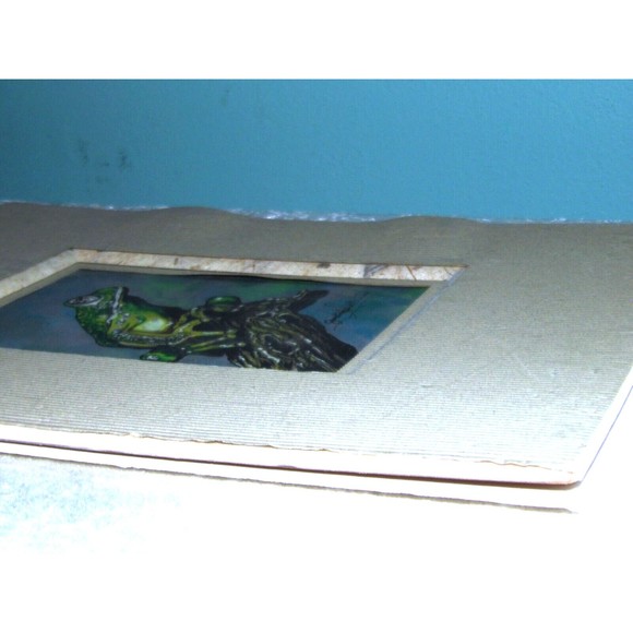 Vintage The Glass Frog Print by Artist Judith Smith Wilson - Picture 14 of 16